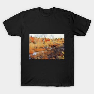 Beaver Dam T-Shirt